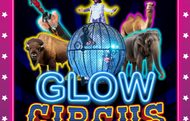 Shrine Glow Circus Spectacular